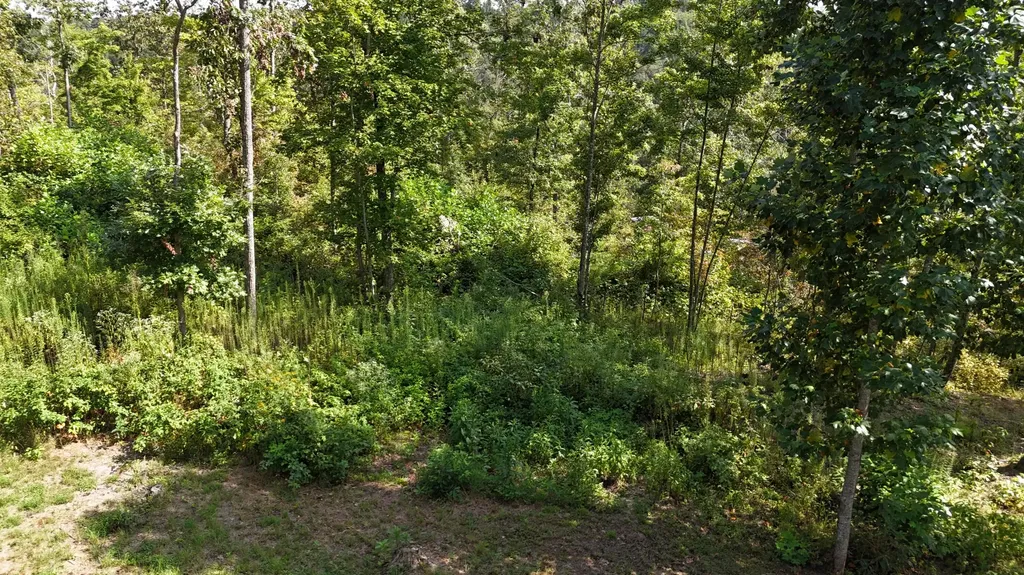 517 Timber Branch Road Mt Vernon KY 40456