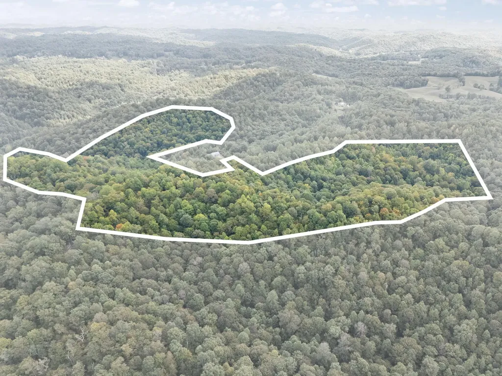 510 Shelton Lane Beattyville KY 41311