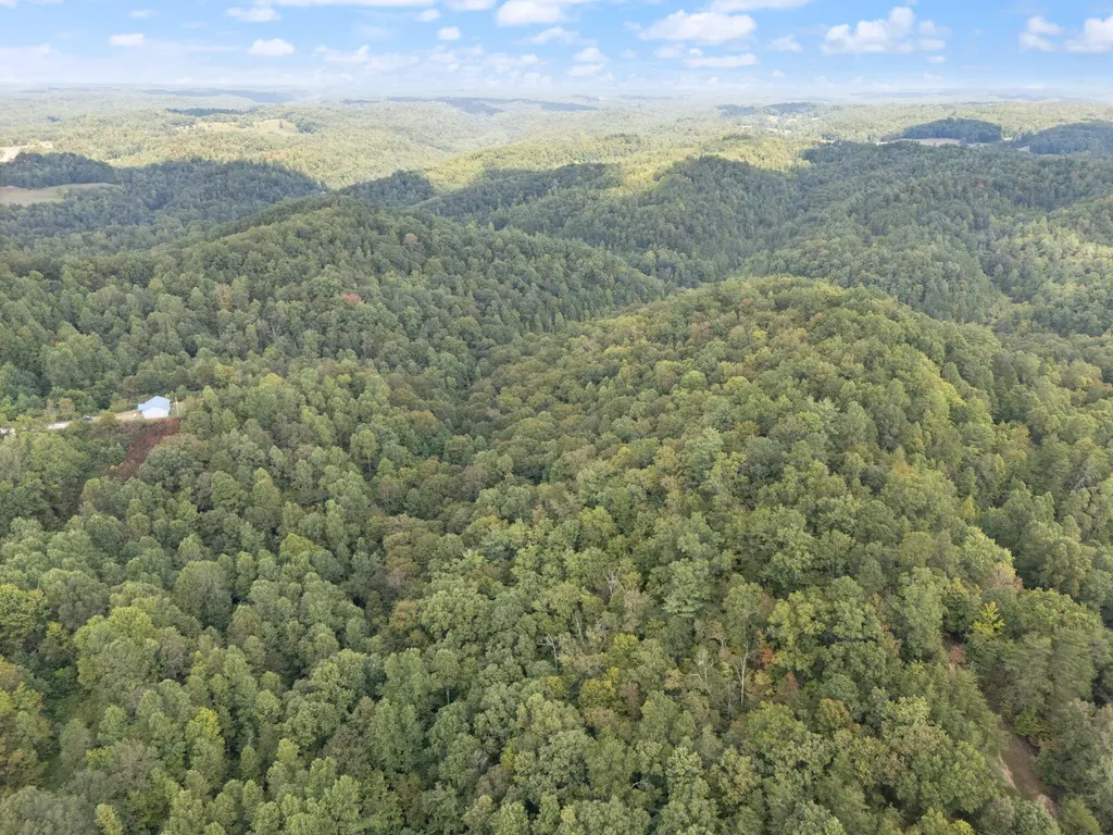 510 Shelton Lane Beattyville KY 41311