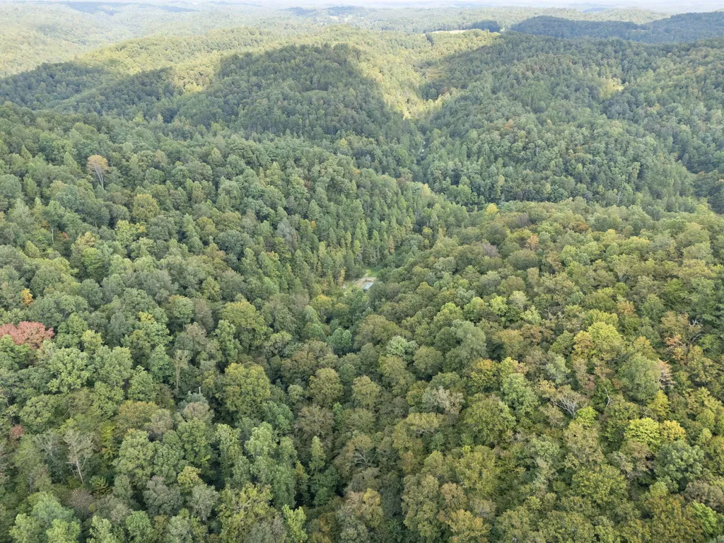 510 Shelton Lane Beattyville KY 41311