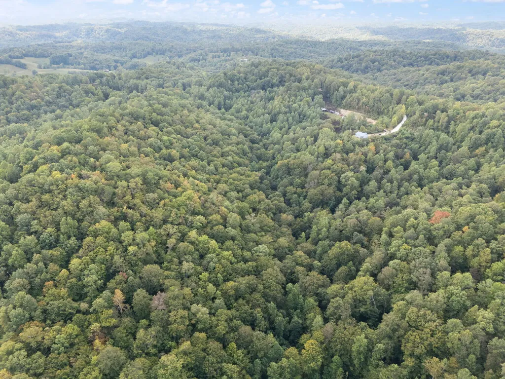 510 Shelton Lane Beattyville KY 41311