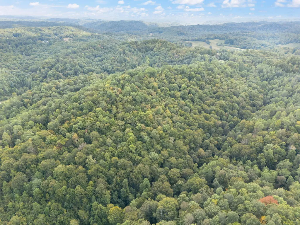 510 Shelton Lane Beattyville KY 41311
