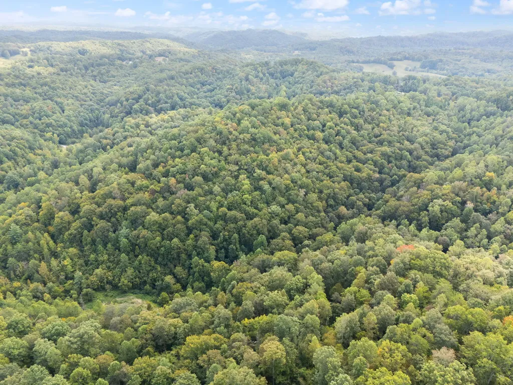 510 Shelton Lane Beattyville KY 41311