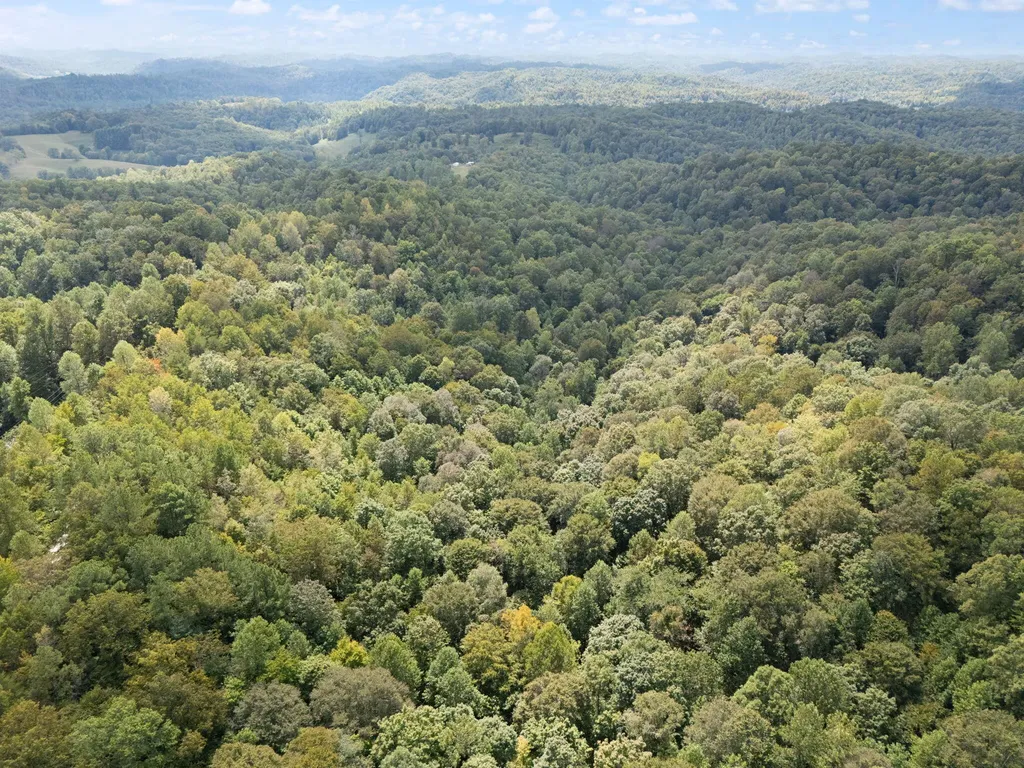 510 Shelton Lane Beattyville KY 41311