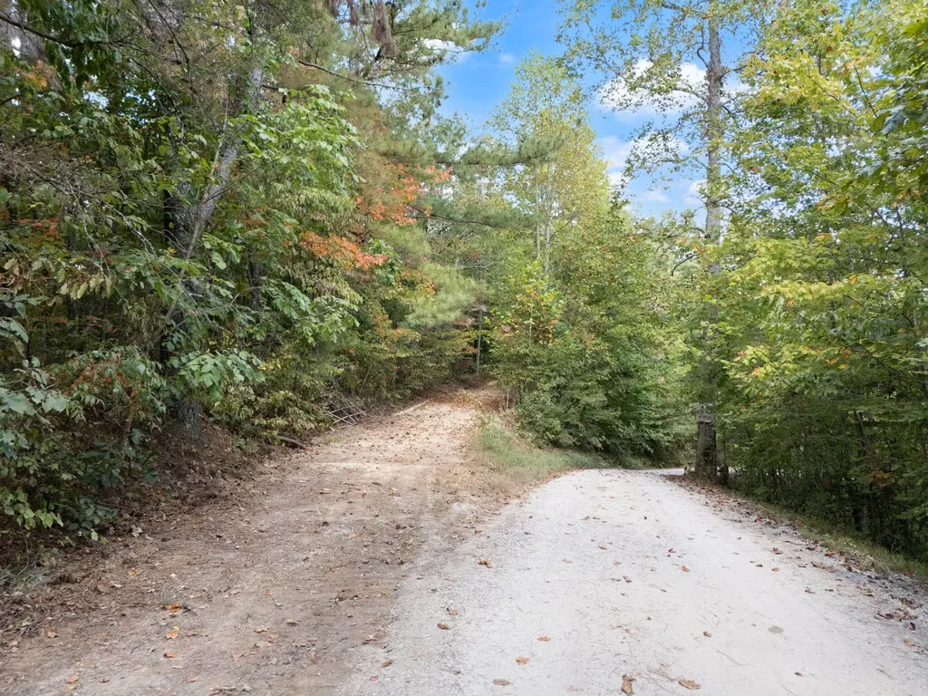 510 Shelton Lane Beattyville KY 41311