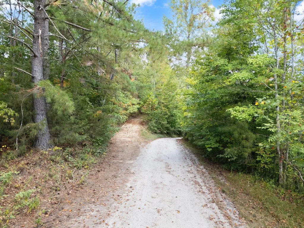 510 Shelton Lane Beattyville KY 41311