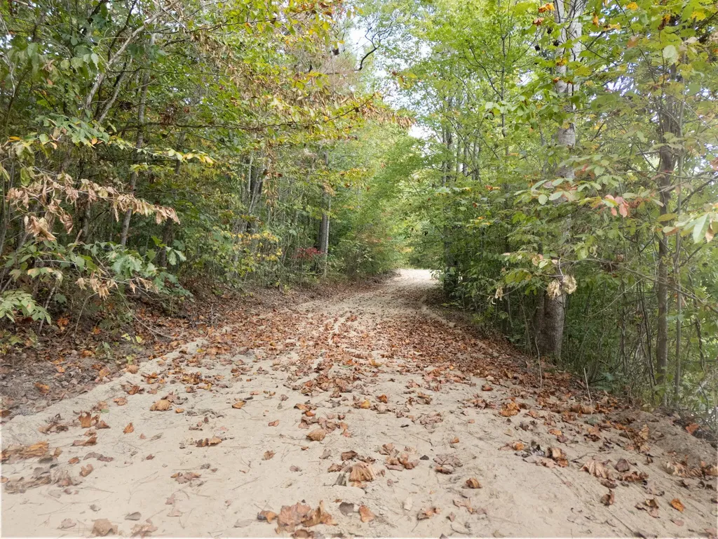 510 Shelton Lane Beattyville KY 41311