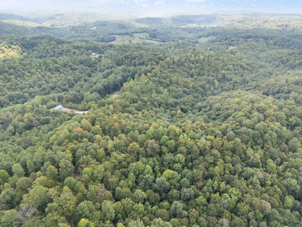 510 Shelton Lane Beattyville KY 41311