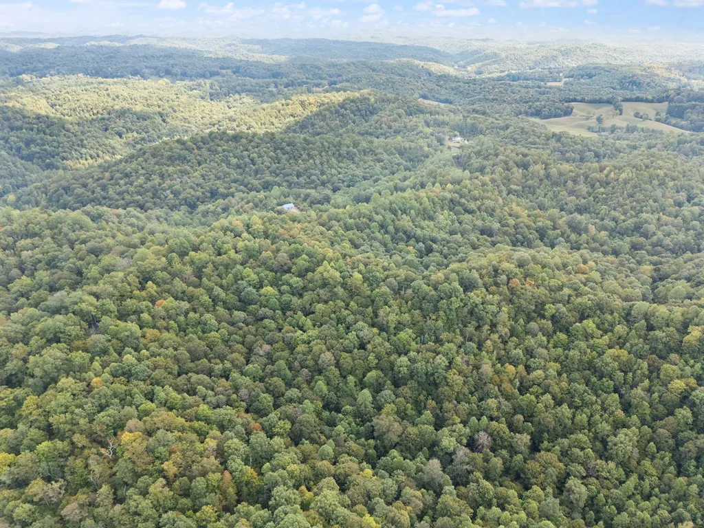 510 Shelton Lane Beattyville KY 41311