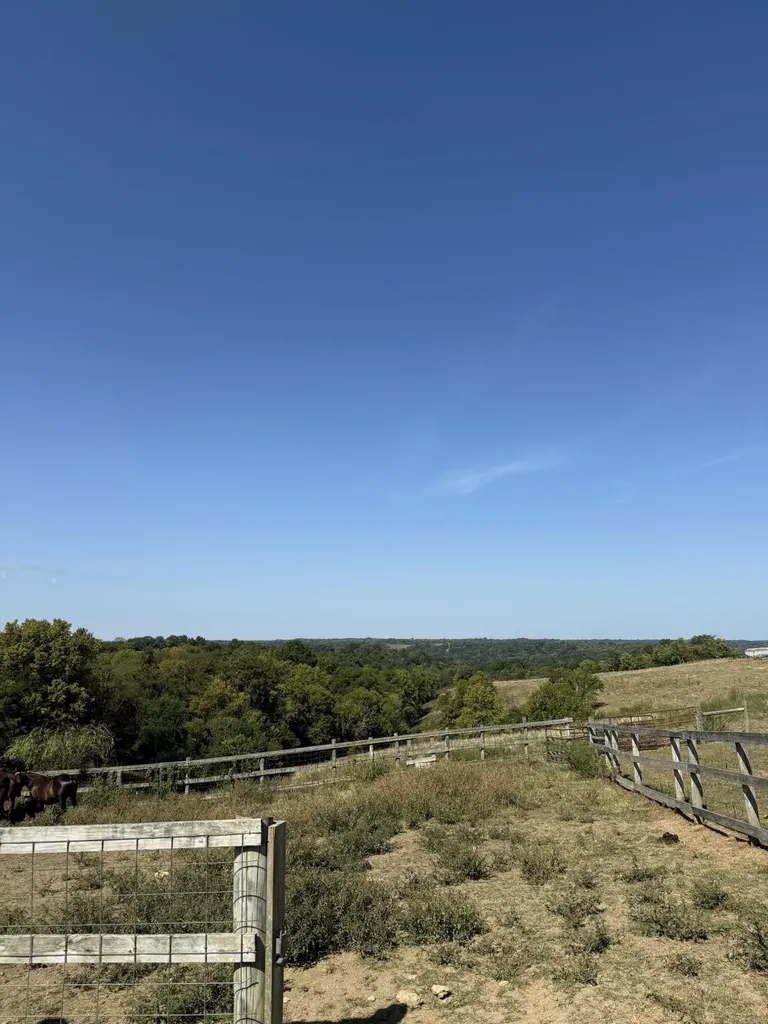 23AC Olive Branch Road Ewing KY 41039
