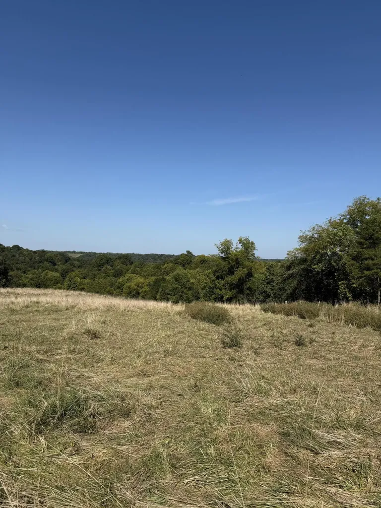 23AC Olive Branch Road Ewing KY 41039