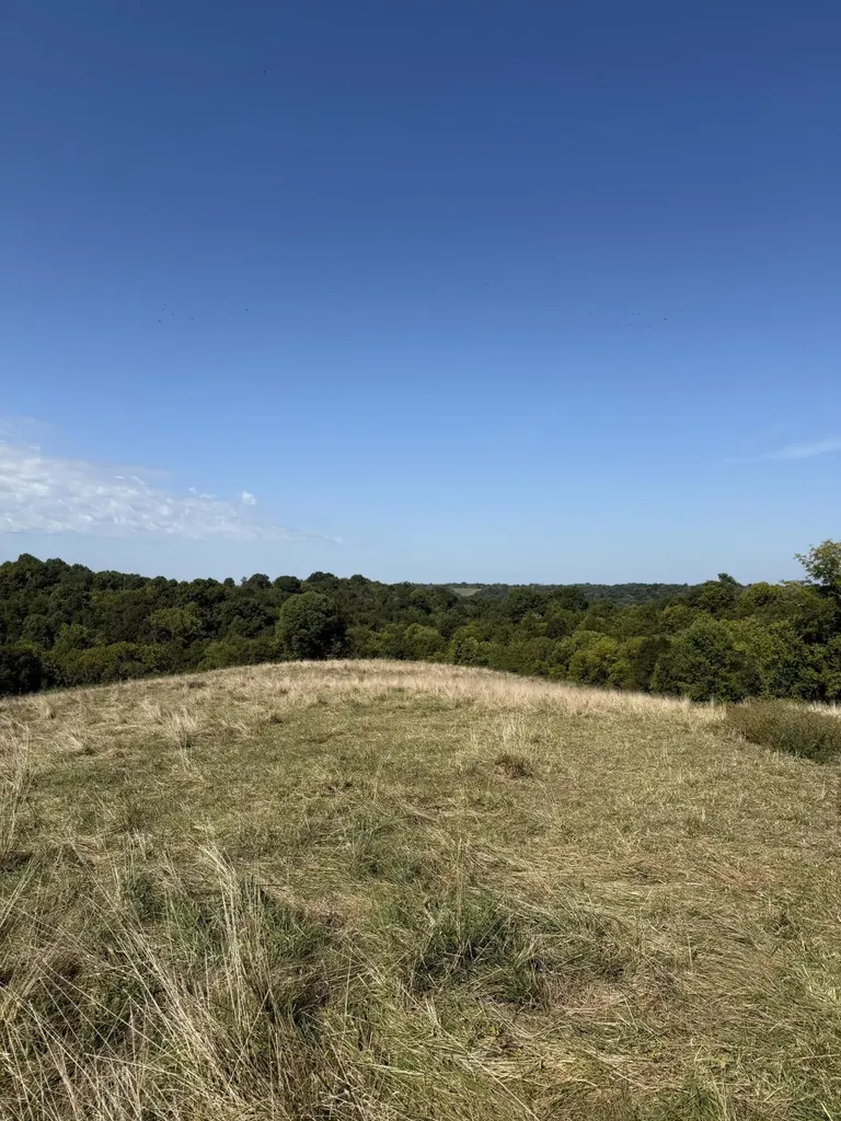 23AC Olive Branch Road Ewing KY 41039