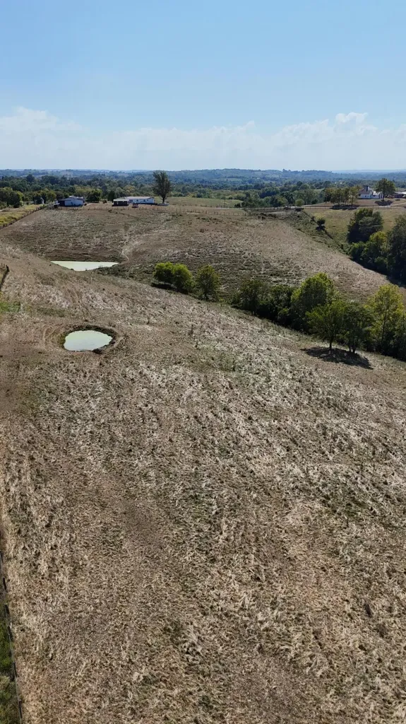 23AC Olive Branch Road Ewing KY 41039