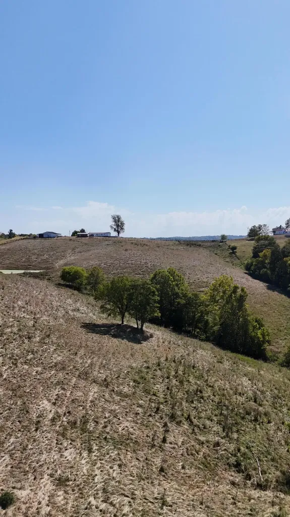 23AC Olive Branch Road Ewing KY 41039