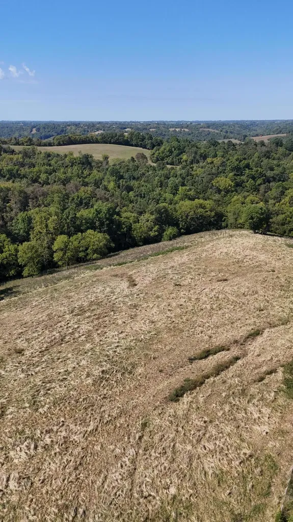 23AC Olive Branch Road Ewing KY 41039