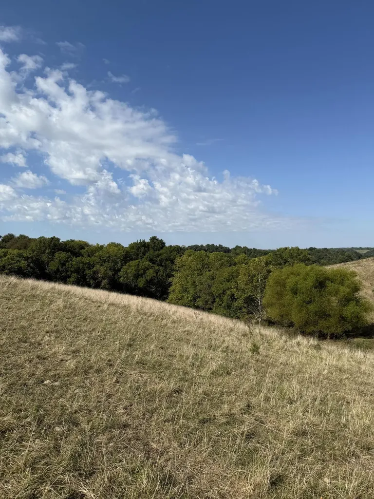 23AC Olive Branch Road Ewing KY 41039