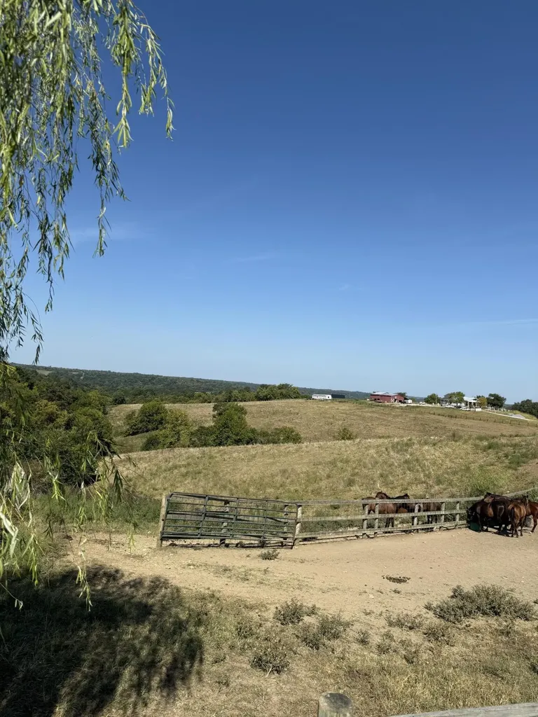 23AC Olive Branch Road Ewing KY 41039