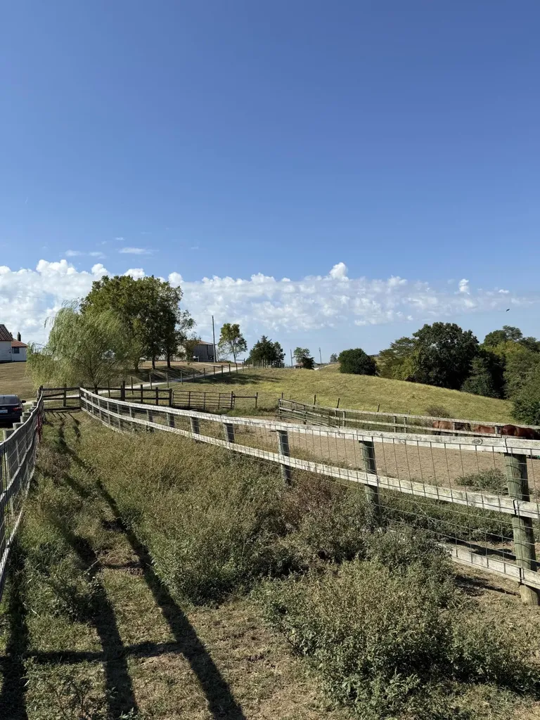 23AC Olive Branch Road Ewing KY 41039