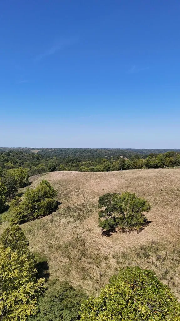 23AC Olive Branch Road Ewing KY 41039