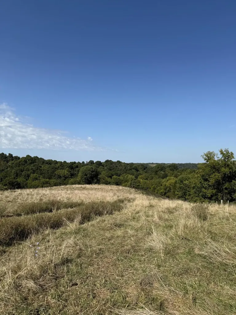 23AC Olive Branch Road Ewing KY 41039