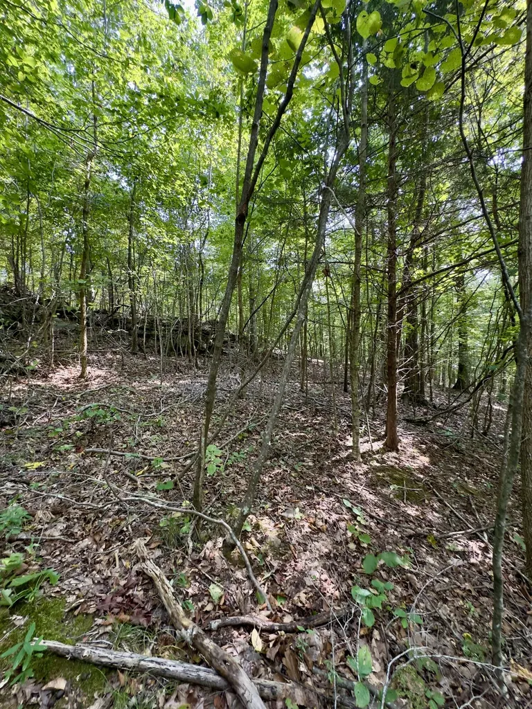 500 Finley Road Burkesville KY 42717