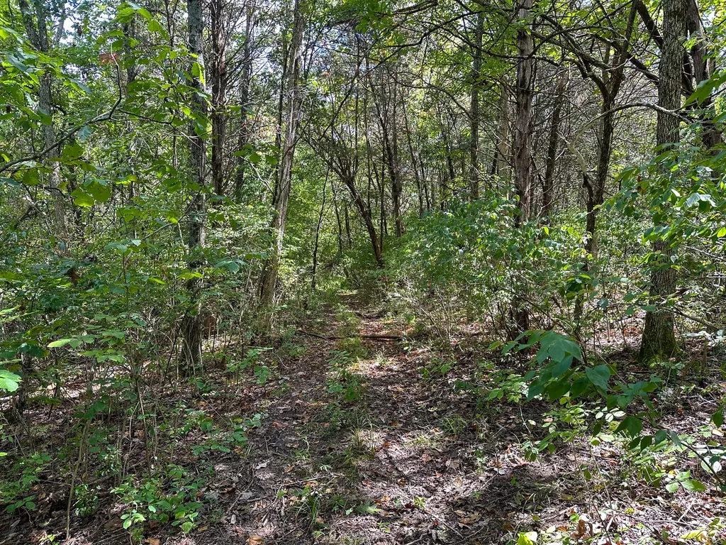 1965 Breck Road Owenton KY 40359