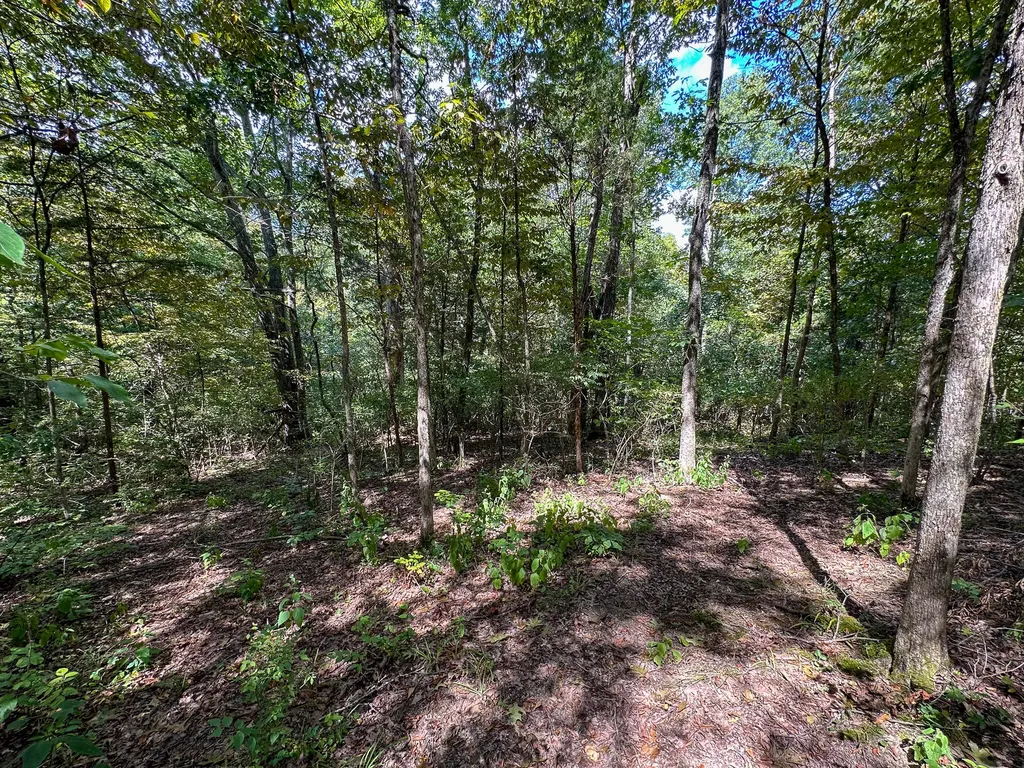 1965 Breck Road Owenton KY 40359