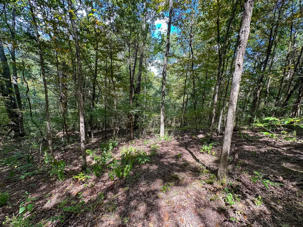 1965 Breck Road Owenton KY 40359