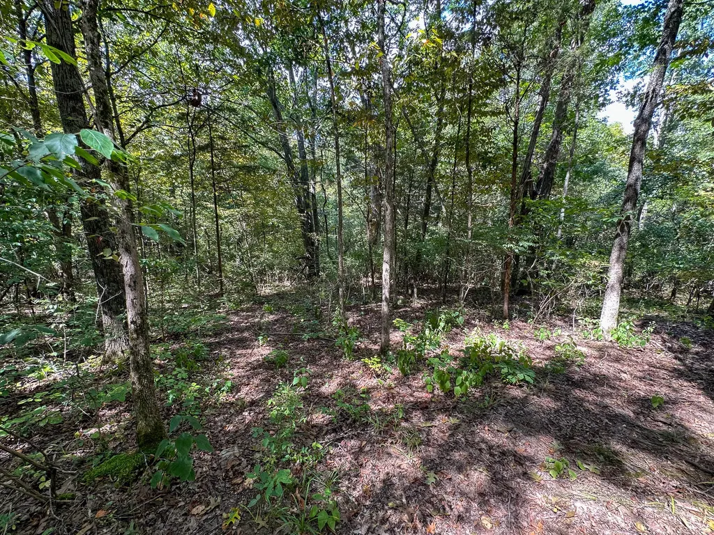 1965 Breck Road Owenton KY 40359