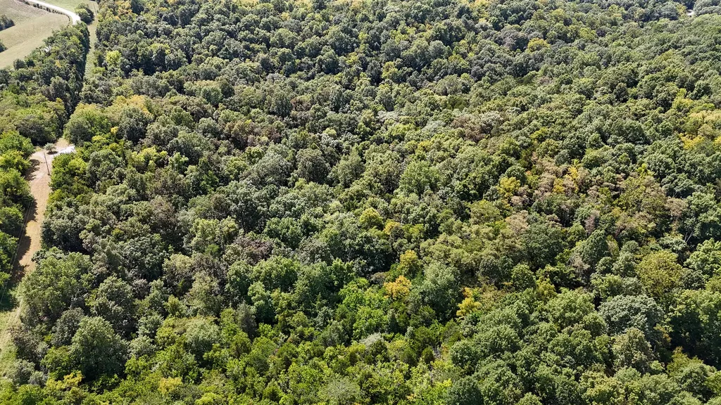 1965 Breck Road Owenton KY 40359