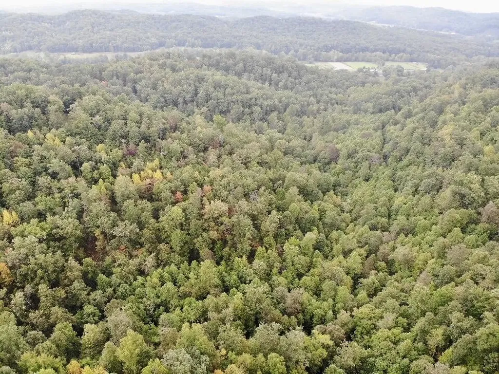 3680 Copper Creek Road Berea KY 40403