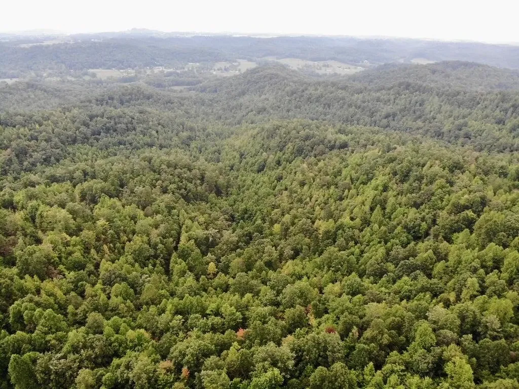 3680 Copper Creek Road Berea KY 40403