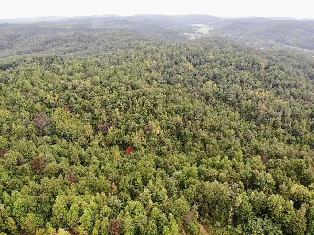 3680 Copper Creek Road Berea KY 40403