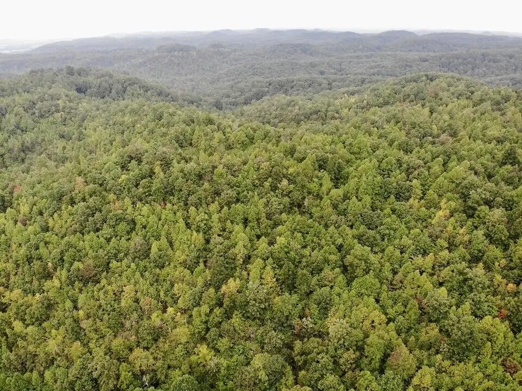 3680 Copper Creek Road Berea KY 40403