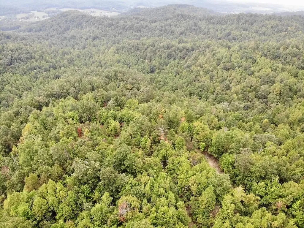 3680 Copper Creek Road Berea KY 40403