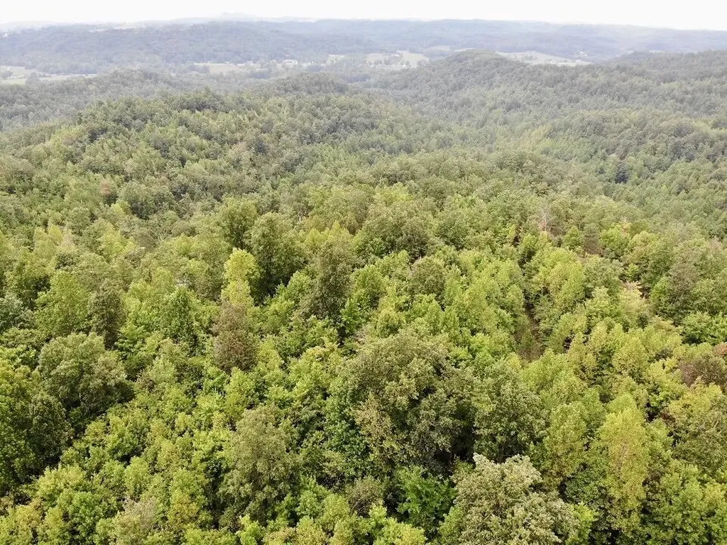 3680 Copper Creek Road Berea KY 40403