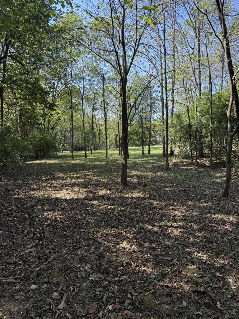 0 S Johnson Road Carlisle KY 40311
