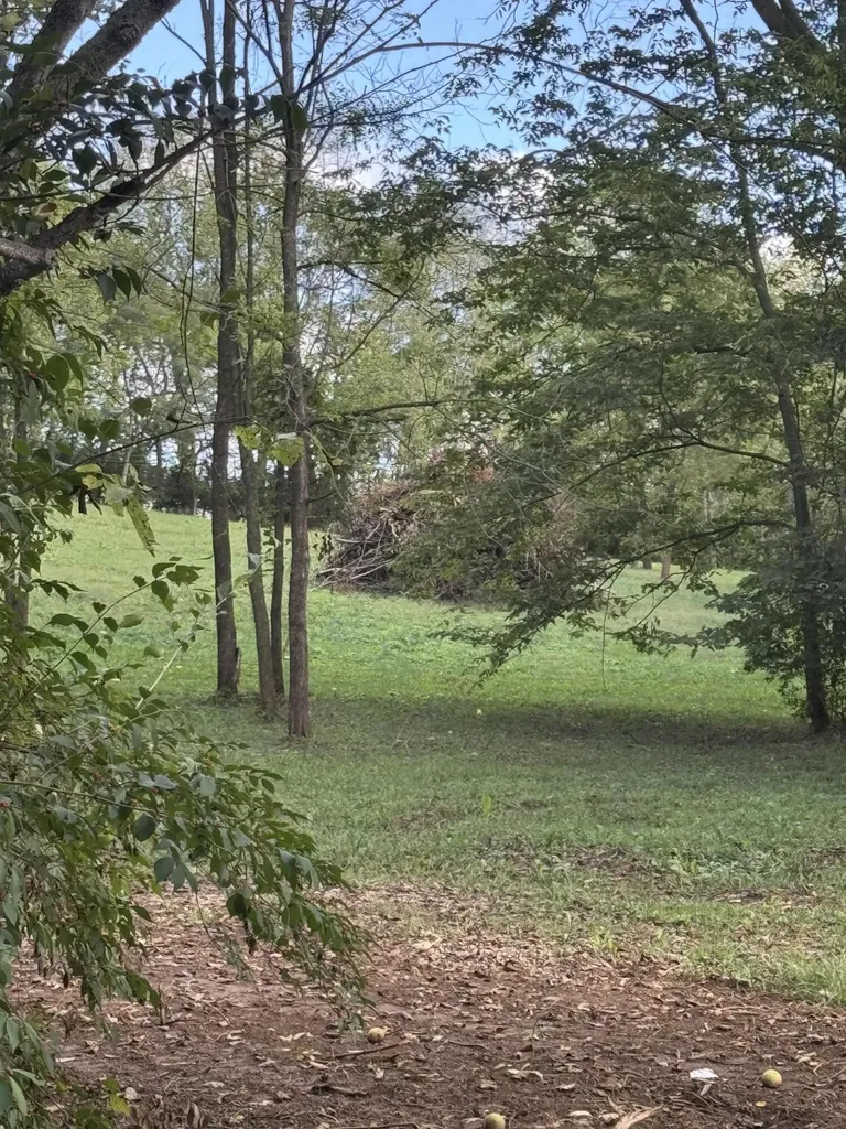 0 S Johnson Road Carlisle KY 40311