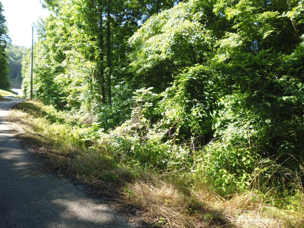31, 32, 33 Justice Drive Manchester KY 40962