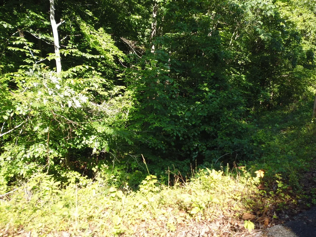 31, 32, 33 Justice Drive Manchester KY 40962