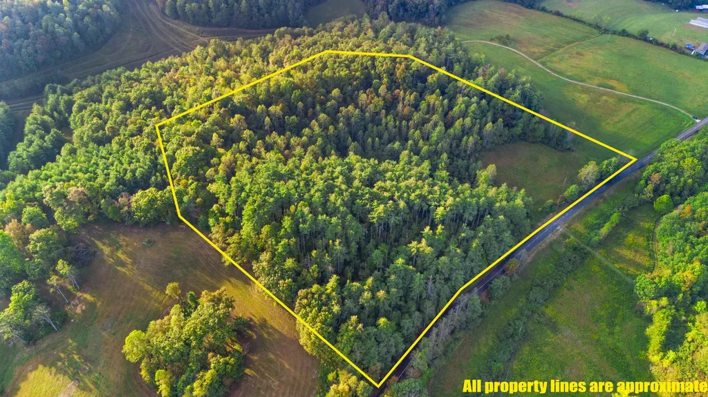5531 Ky-746 Campton KY 41301