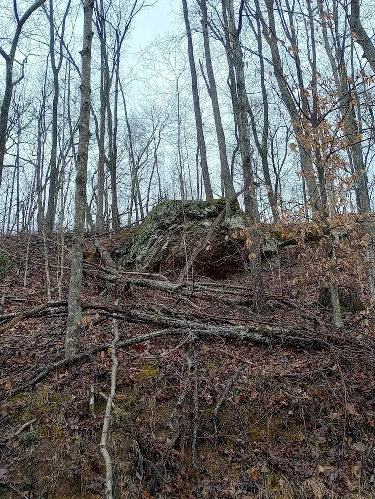 0 S Fork Road Stanton KY 40380