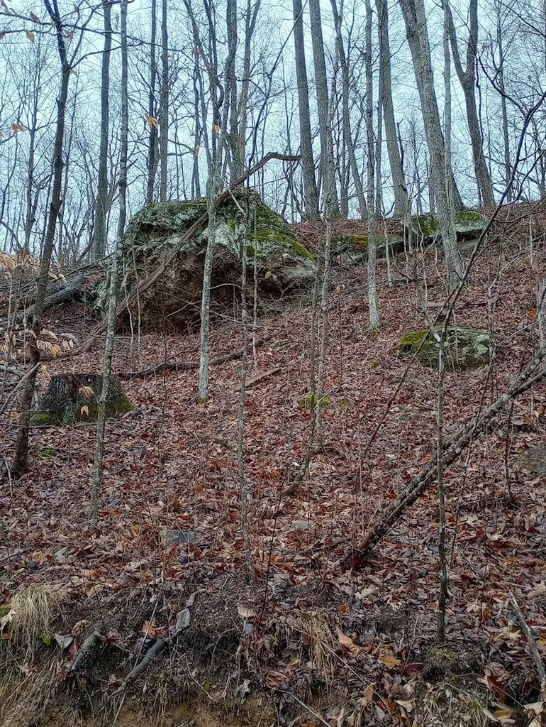 0 S Fork Road Stanton KY 40380