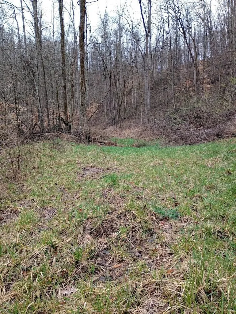 0 S Fork Road Stanton KY 40380