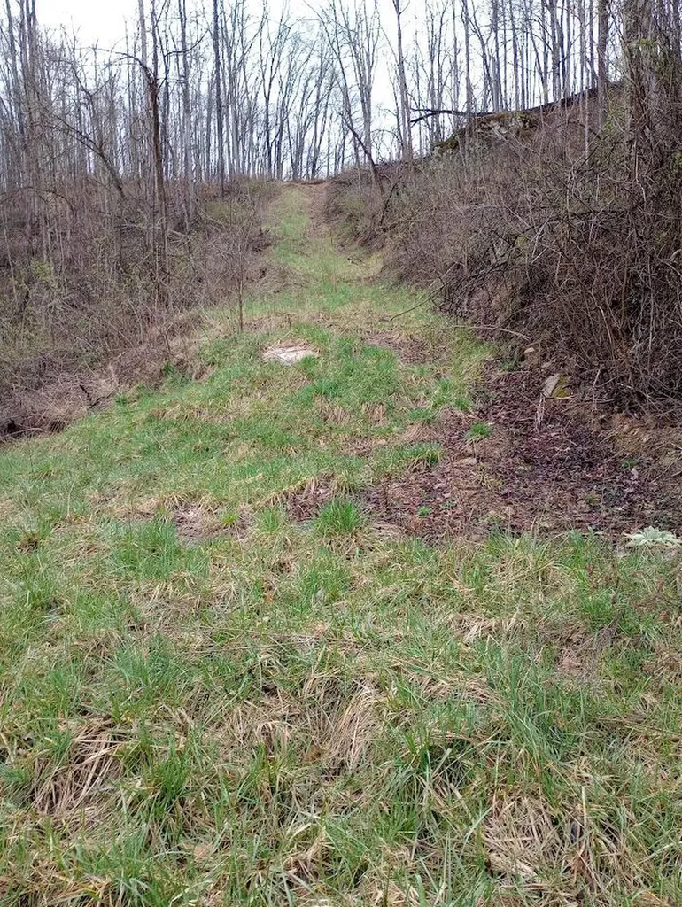 0 S Fork Road Stanton KY 40380