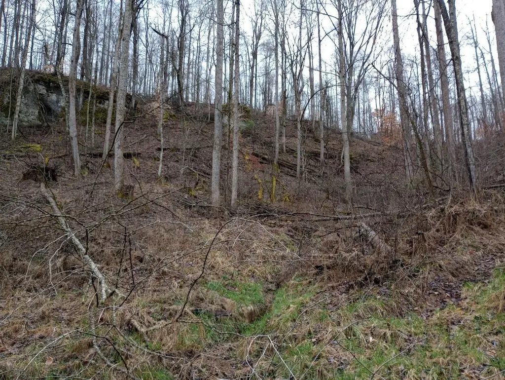 0 S Fork Road Stanton KY 40380