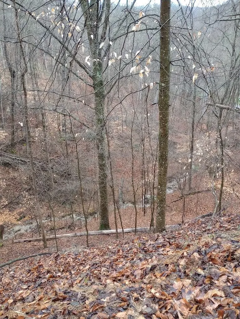 0 S Fork Road Stanton KY 40380