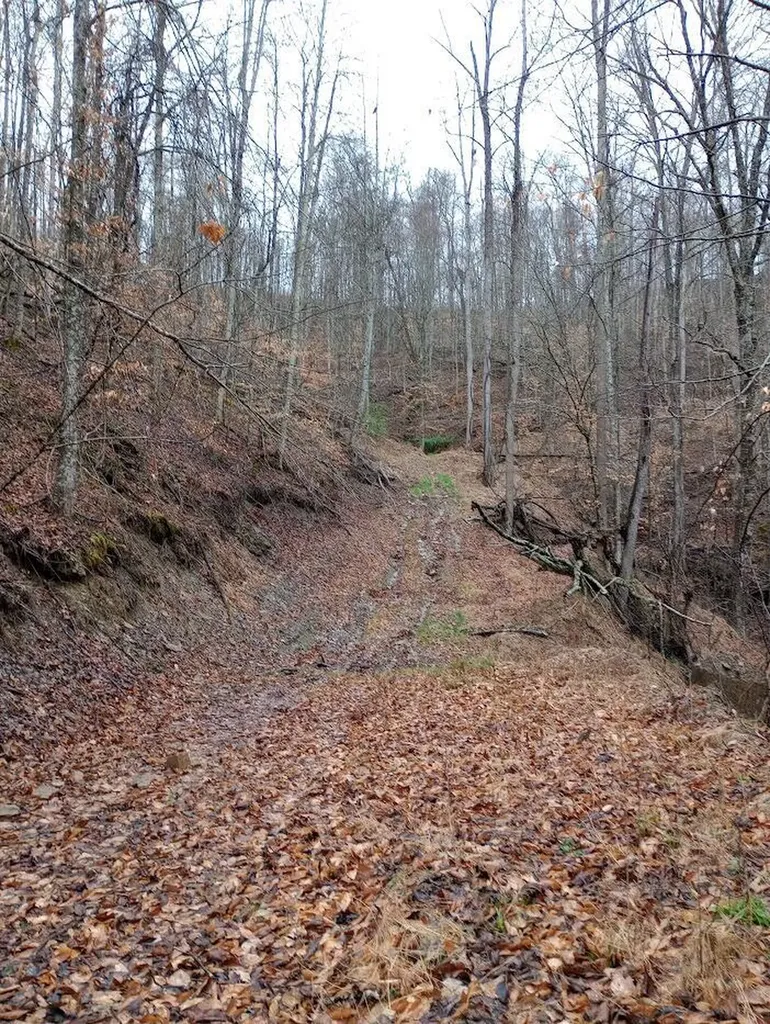 0 S Fork Road Stanton KY 40380