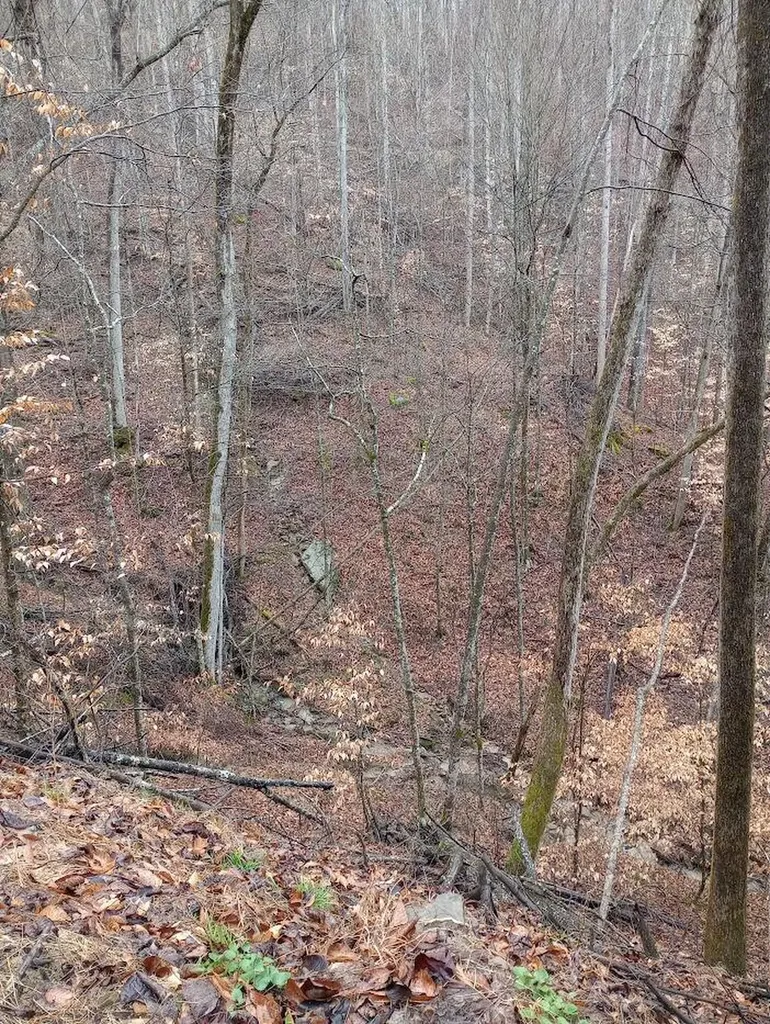 0 S Fork Road Stanton KY 40380