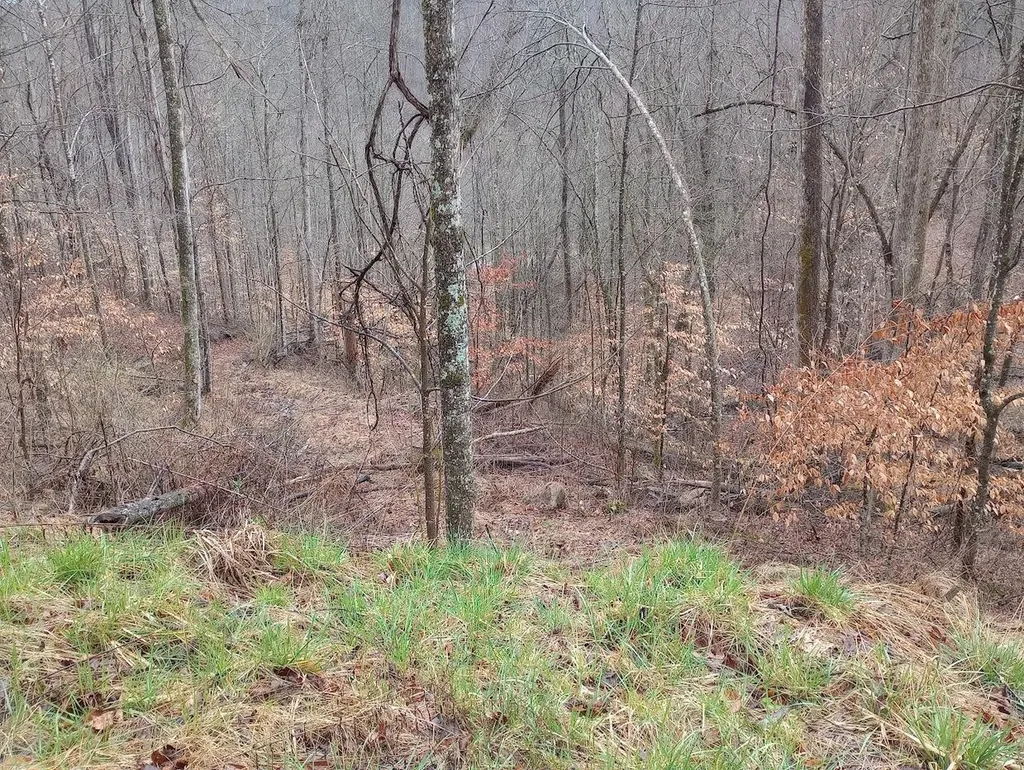 0 S Fork Road Stanton KY 40380